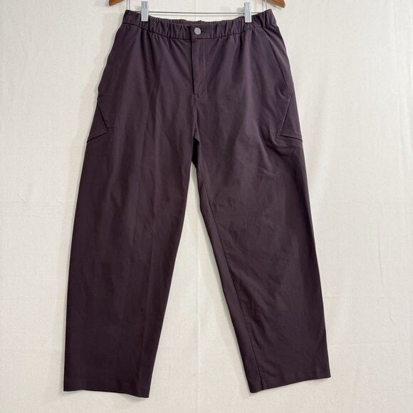 Lululemon Men's Size 32 Lab Wool-Blend Casual Pants 25" Pelt Purple $168 - Picture 1 of 9